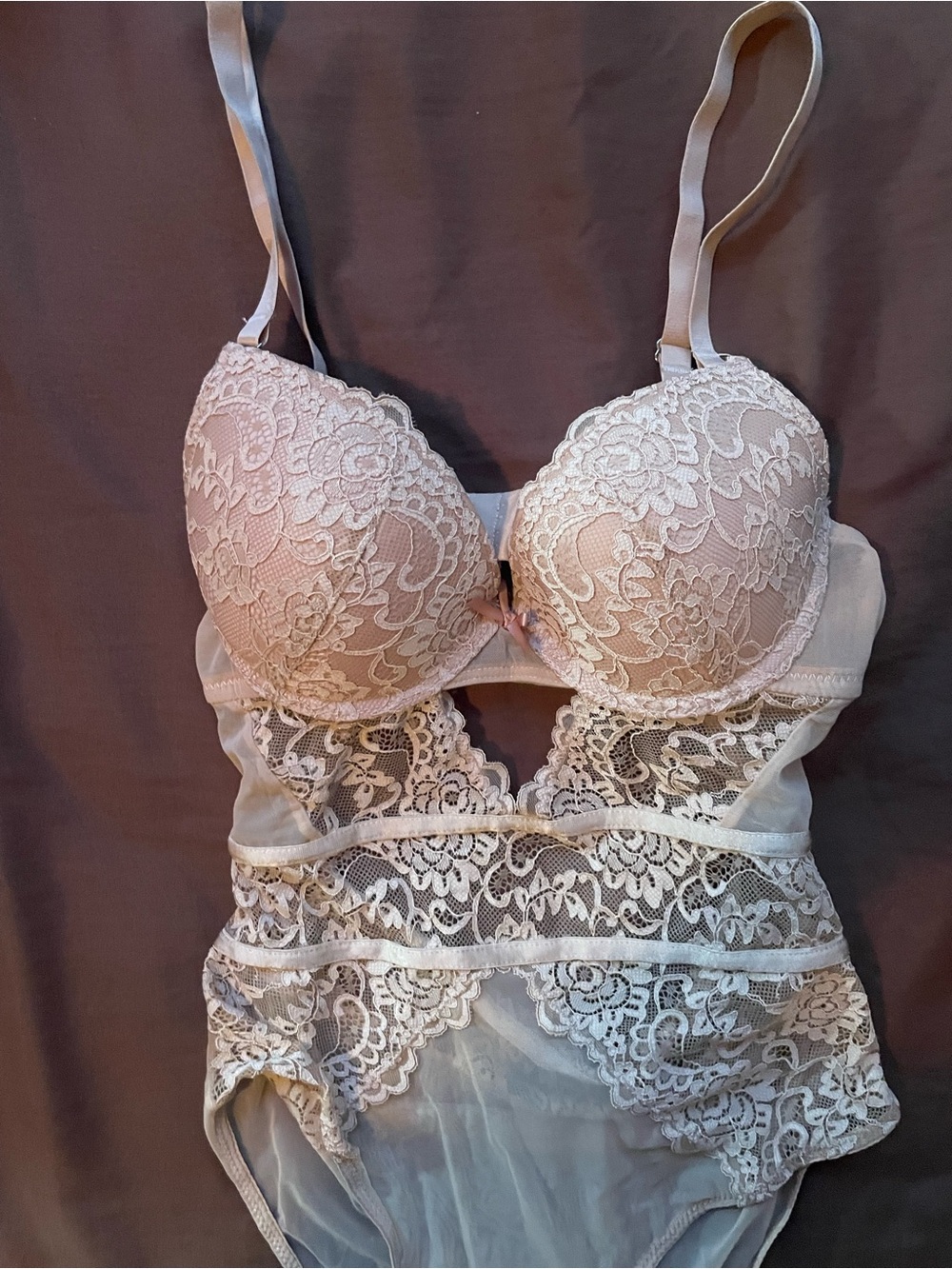 Lace Bodysuit in Light Blush - Women's Intimates